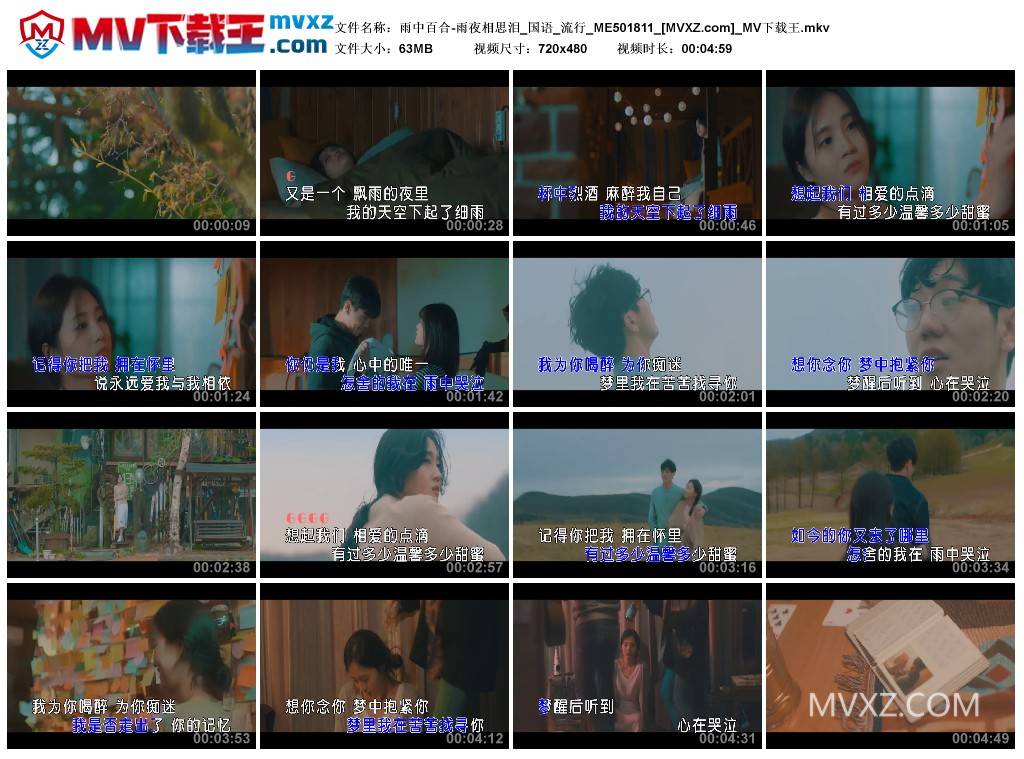 雨中百合-雨夜相思泪_国语_流行_ME501811
